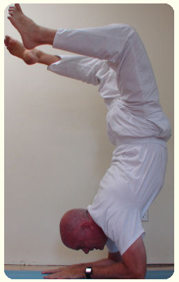 scorpion pose